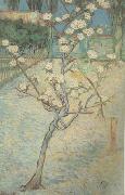 Vincent Van Gogh Blossoming Pear Tree (nn04) Sweden oil painting reproduction